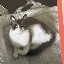 Thumbnail photo of Pua #3