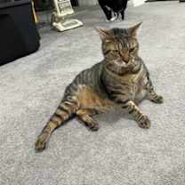 Thumbnail photo of TJ #3