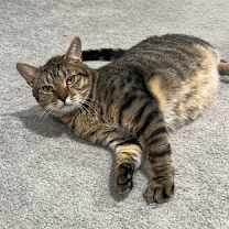 Thumbnail photo of TJ #4