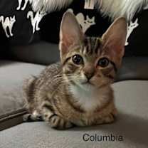 Thumbnail photo of Columbia #2