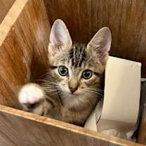 Thumbnail photo of Columbia #4