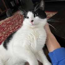 Thumbnail photo of Baby Boy #2