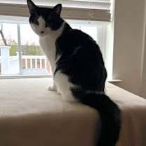 Thumbnail photo of Baby Boy #3