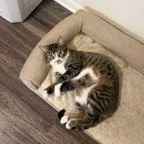 Thumbnail photo of Mars #1