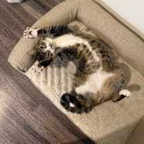 Thumbnail photo of Mars #2