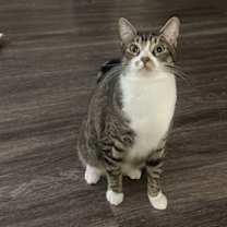 Thumbnail photo of Mars #3