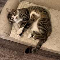 Thumbnail photo of Mars #4