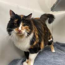 Thumbnail photo of Madeline #1