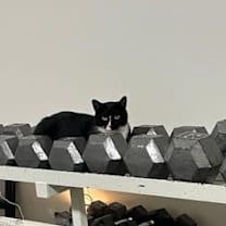 Thumbnail photo of Ratty #3