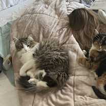 Thumbnail photo of Malia #3