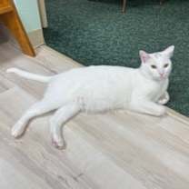 Thumbnail photo of Squirt  #1