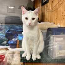 Thumbnail photo of Squirt  #3