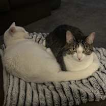 Thumbnail photo of Sprite #1