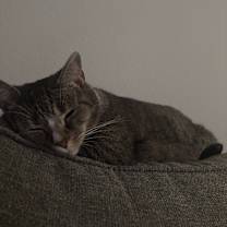 Thumbnail photo of Mimi #1