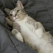 Thumbnail photo of Mimi #2