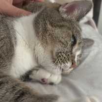 Thumbnail photo of Mimi #3