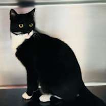 Thumbnail photo of Max #2