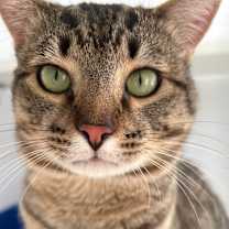 Thumbnail photo of Enoch   #1