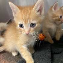 Thumbnail photo of Alan #2