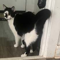 Thumbnail photo of Hauser #1