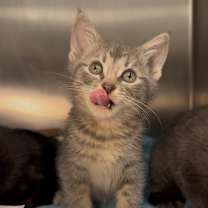 Thumbnail photo of Maxine #2