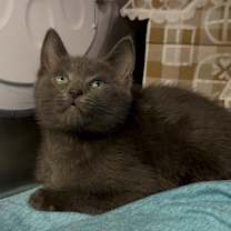 Thumbnail photo of Will #3