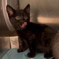 Thumbnail photo of Denise Navidad #3