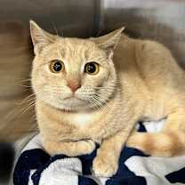 Thumbnail photo of April #2