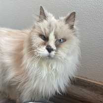 Thumbnail photo of Moe #1