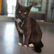 Thumbnail photo of Kiki #2