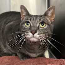 Thumbnail photo of Jesse #1