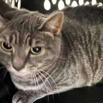 Thumbnail photo of Jesse #2