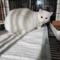 Thumbnail photo of Mama Clara Marie #2