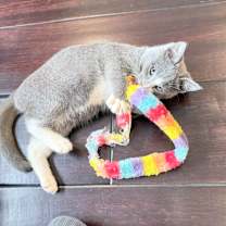 Thumbnail photo of Bagel #3