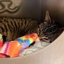 Thumbnail photo of Ben #3