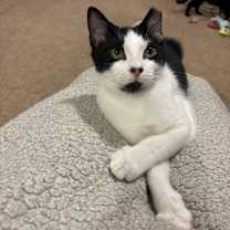 Thumbnail photo of Pippy #1