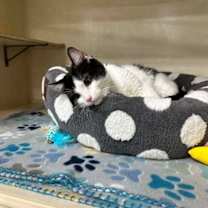 Thumbnail photo of Grace #1