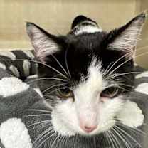 Thumbnail photo of Grace #3