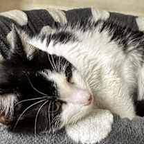 Thumbnail photo of Grace #4