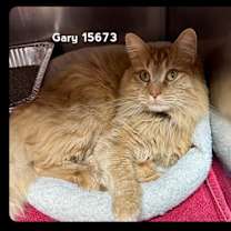 Thumbnail photo of GARY #1