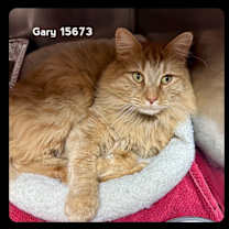 Thumbnail photo of GARY #2