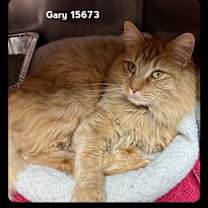 Thumbnail photo of GARY #3