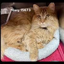 Thumbnail photo of GARY #4