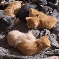 Thumbnail photo of No name #2