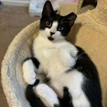 Thumbnail photo of Hugger #1