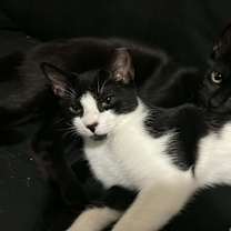 Thumbnail photo of Hugger #2