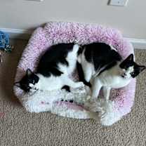 Thumbnail photo of Hugger #3