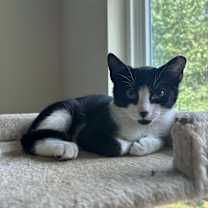 Thumbnail photo of Hugger #4