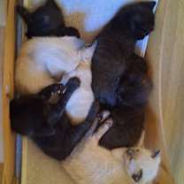 Thumbnail photo of None #2