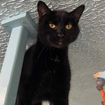 Thumbnail photo of Beatrice #1